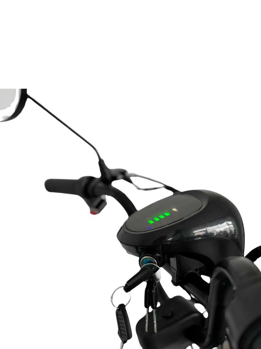  Электроскутер Terax Rex 12 Ah 240 W
