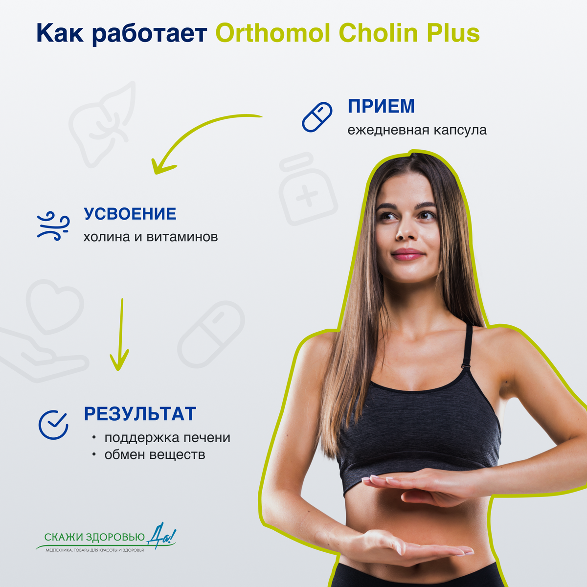  БАД ОРТОМОЛ/ORTHOMOL® Cholin plus для печени № 60 купить на crossvill