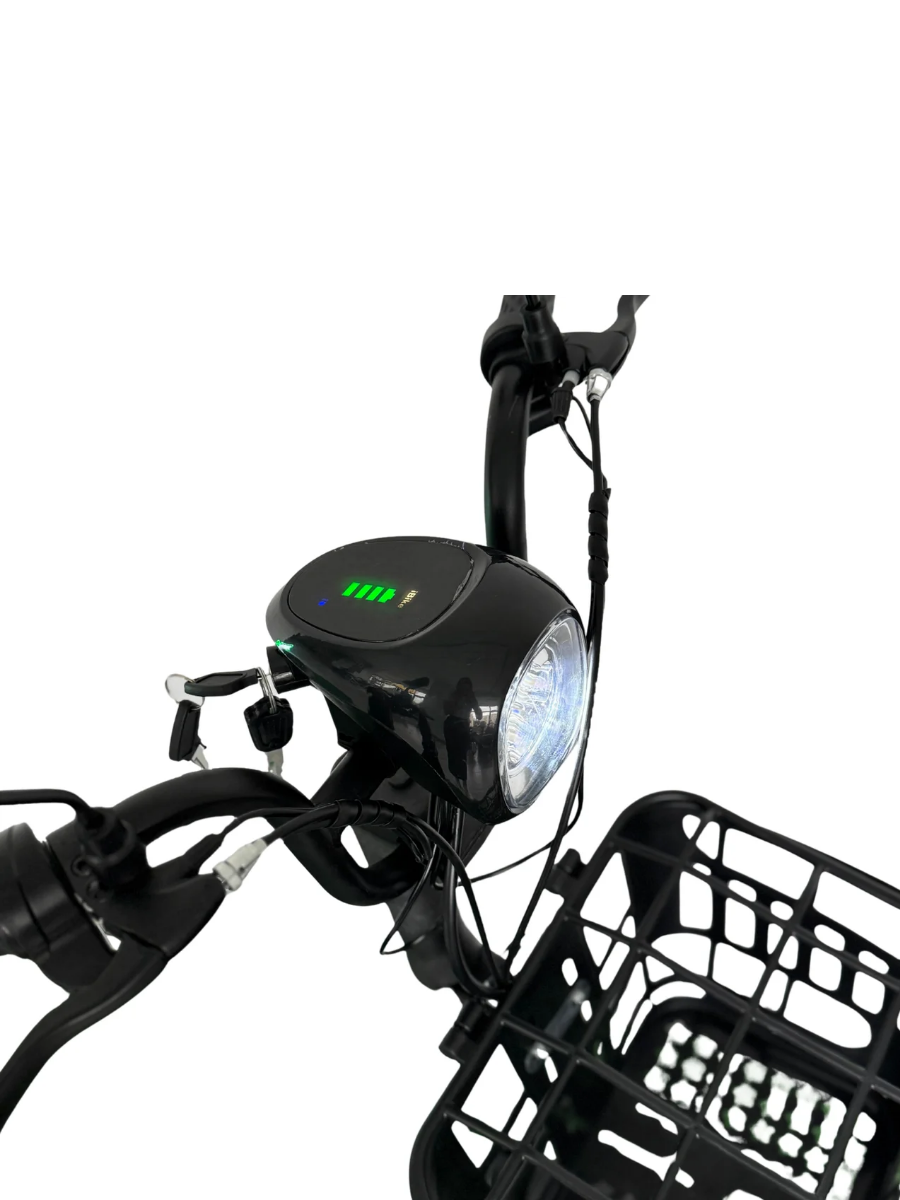  Электроскутер Terax Rex 12 Ah 240 W