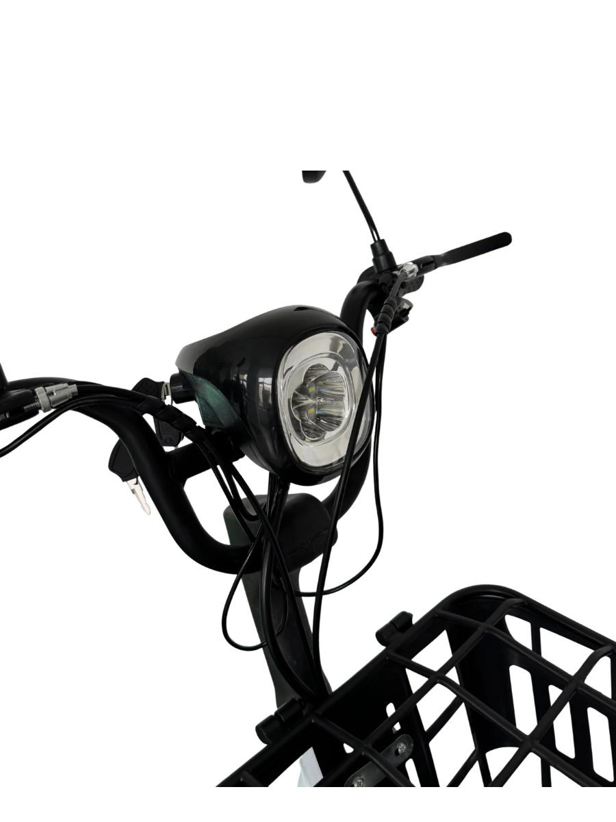  Электроскутер Terax Rex 12 Ah 240 W