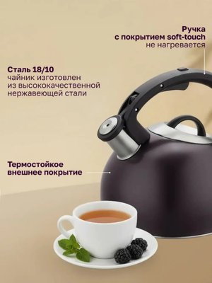 Чайник со свистком для плиты Rondell Tiemo RDS-1900, 2,9л купить на CrossVill