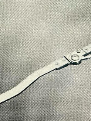 Шина для сустава двухосевая с хесинговым замком Ortex ОРТЕКС 0101A