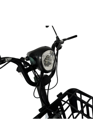  Электроскутер Terax Rex 12 Ah 240 W
