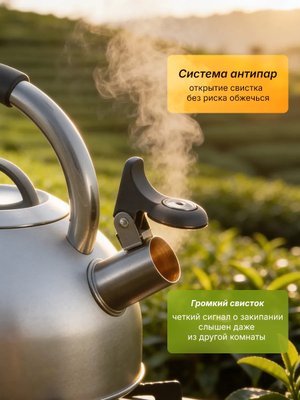 Чайник со свистком для плиты из нержавеющей стали 2,5 л купить на CrossVill