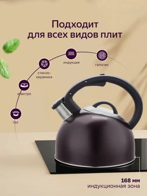 Чайник со свистком для плиты Rondell Tiemo RDS-1900, 2,9л купить на CrossVill