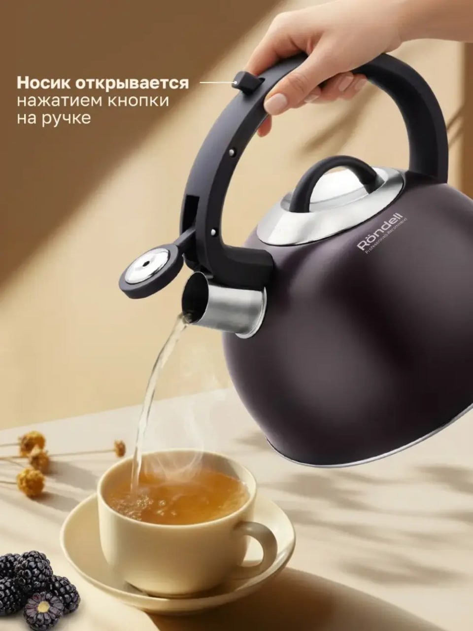 Чайник со свистком для плиты Rondell Tiemo RDS-1900, 2,9л купить на CrossVill